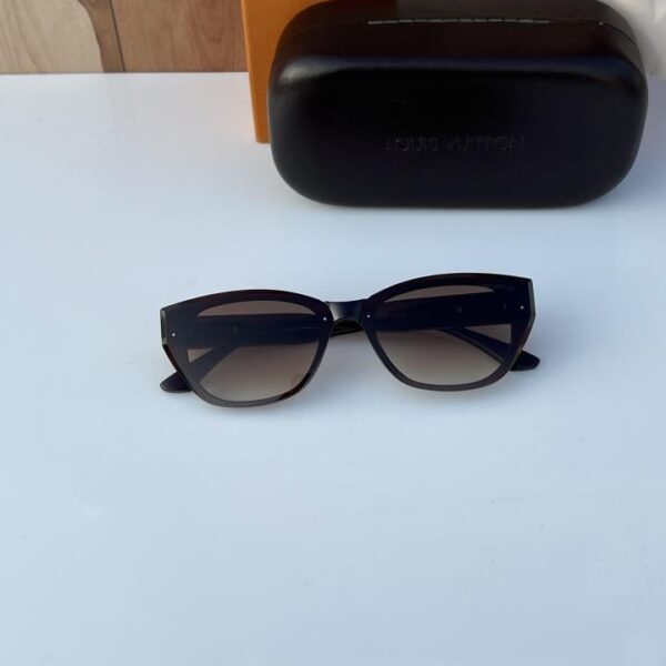 Louis_vuitton_2900_brown