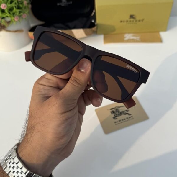 Burberry_4358_matt_brown