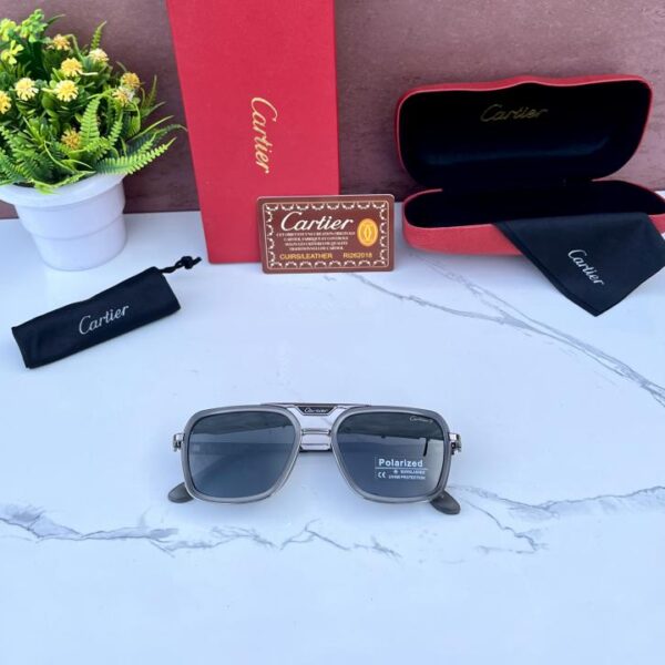 CARTIE_R 3804 POLARIZED SILVER GRAY BLACK GLASSES